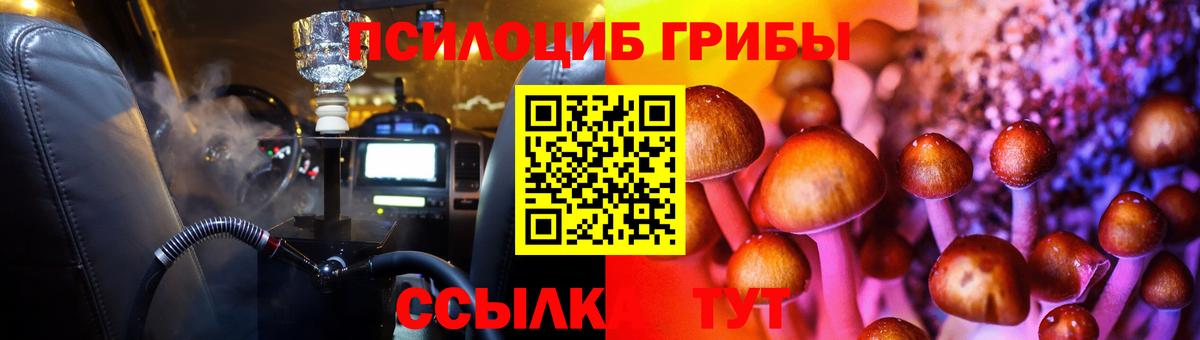 Россия  хочу   Вход с VPN  Псилоцибиновые грибы MAGIC MUSHROOMS 